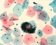 134蜗牛图1