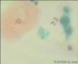 请教各位老师:报ASC-H可以吗?图2
