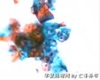 HPV感染图6