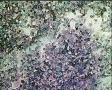求助，各位老师帮忙看看图3