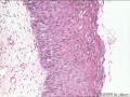 cin1-2图4