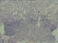 这个怎么报？图10