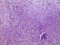 请老师们帮忙看看，谢谢图21