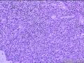 是啥啊？？没方向了啊图21