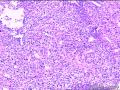 是啥啊？？没方向了啊图3