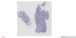 好奇怪，没见过，麻烦老师们指教图1