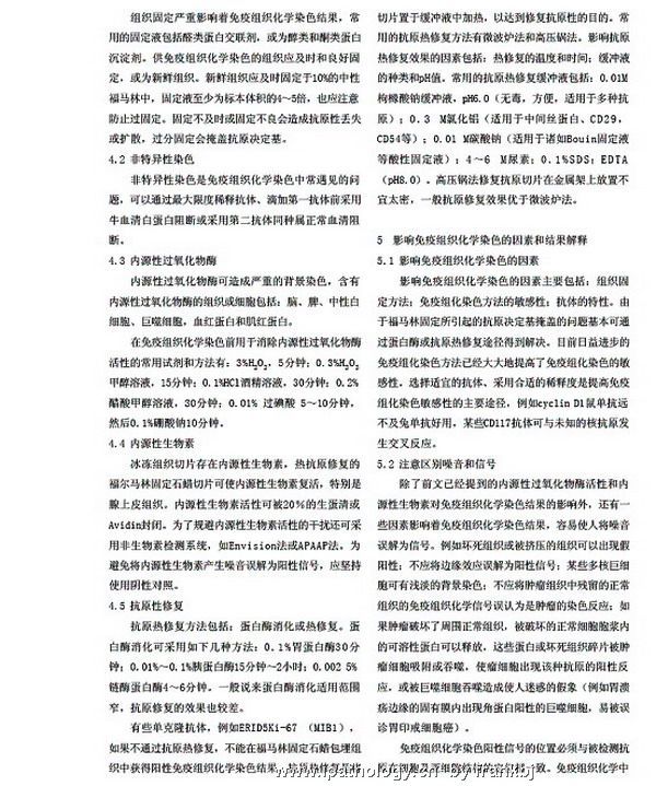 郑杰老师讲座－免疫组化图3