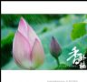 测试图2