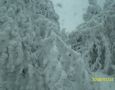 好大一场雪！图1
