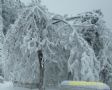 好大一场雪！图3