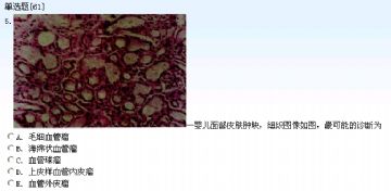 1-10中级试题图5