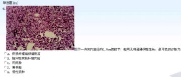 1-10中级试题图6